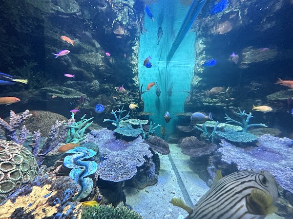 Sunshine Aquarium 3