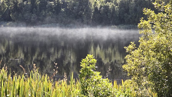 Lake Matheson- Jetty Viewpoint 5