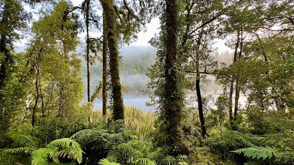 Lake Matheson- Jetty Viewpoint 2
