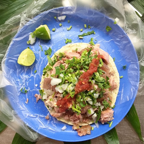 Eat Like a Local Mexico - Food Tours