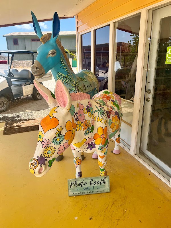 Donkey Sanctuary Bonaire 4