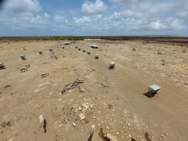 Donkey Sanctuary Bonaire 2