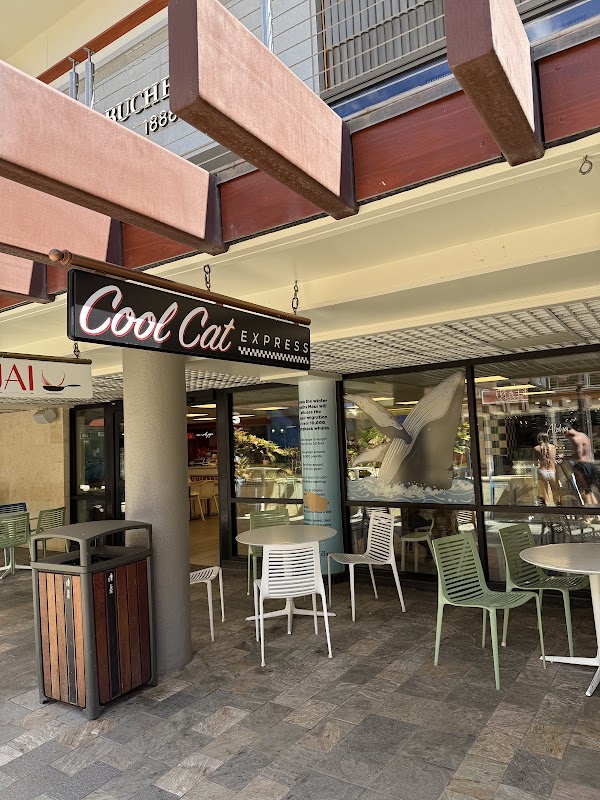 Cool Cat Express 1