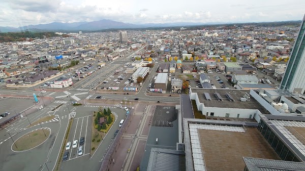 Akita 5