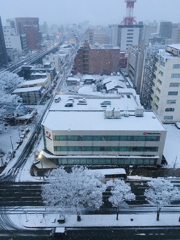 Akita 4