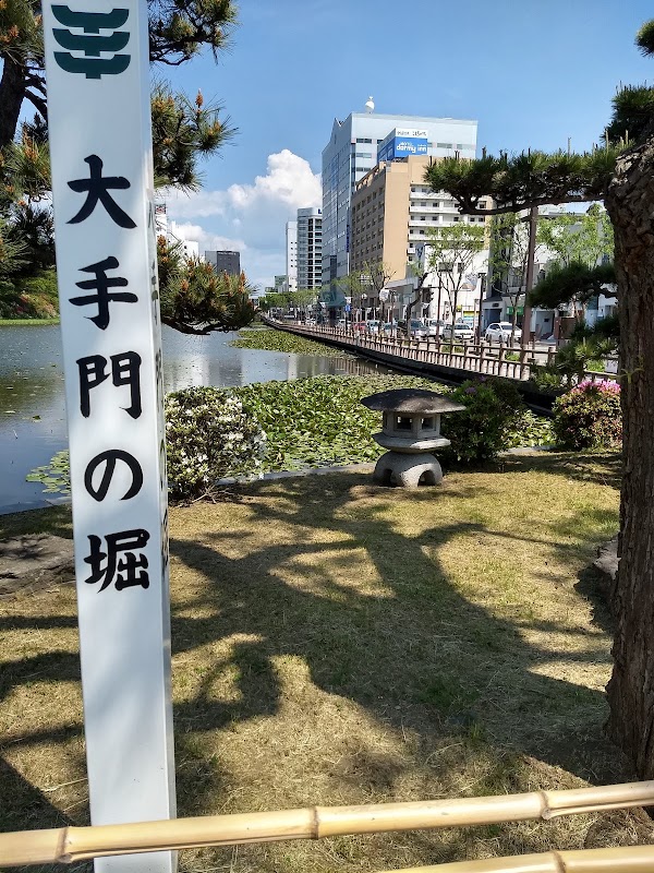 Akita 3