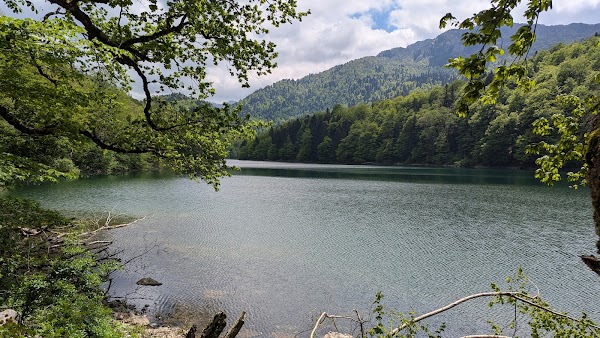 Biogradska Gora 5