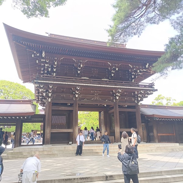 Cherry Blossoms Garden 2
