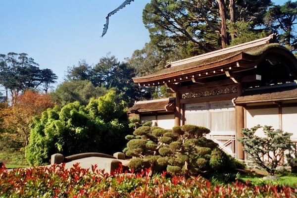 Japanese Tea Garden 2
