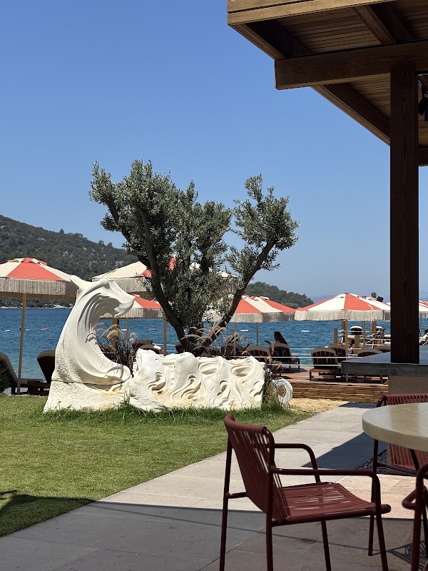 Cotto Sul Mare