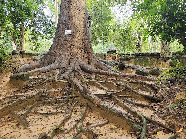 Krol Romeas Temple 3