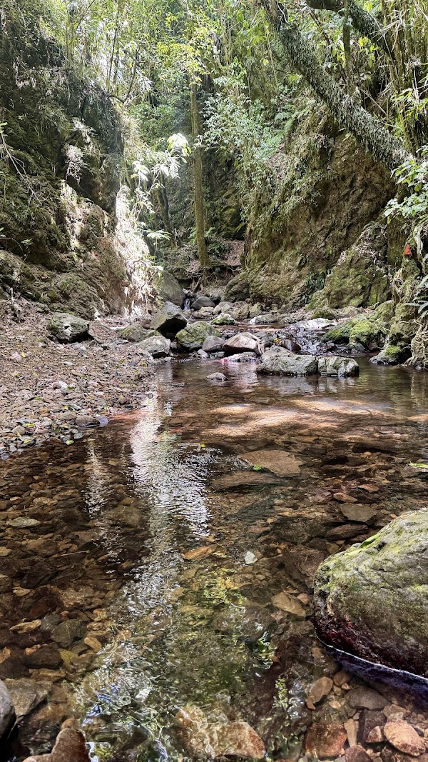 Dry creek Waterfall 4