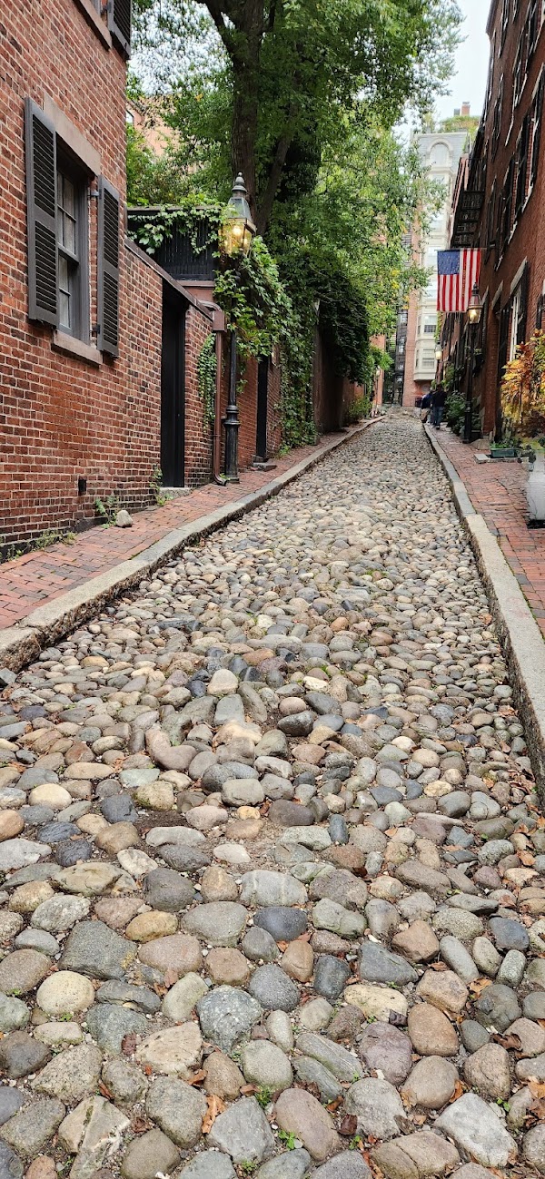 Acorn Street 3