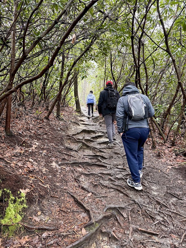 Long Point Trail 5