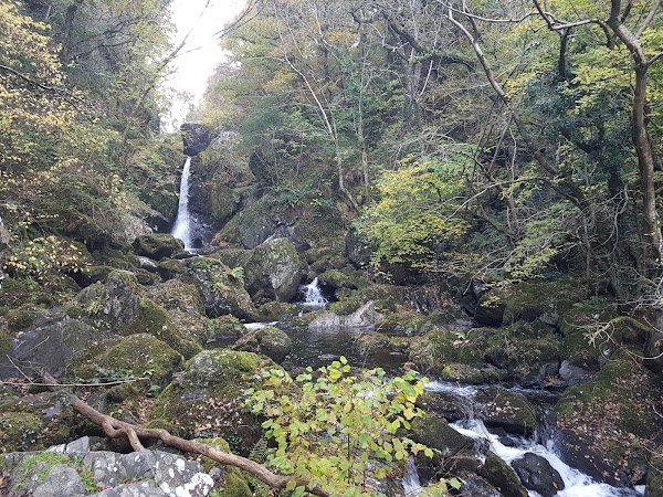 Devil's Glen Car Park