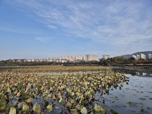 기지제수변공원 4