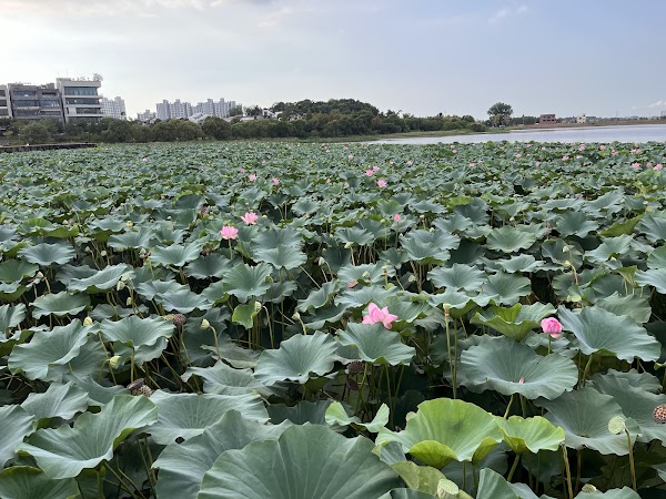 기지제수변공원 2