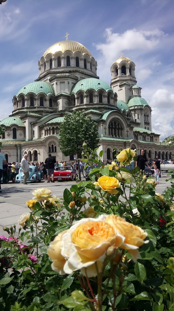 Sofia Center