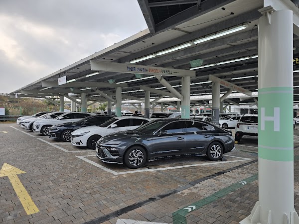 Lotte rent-a-car Jeju 3