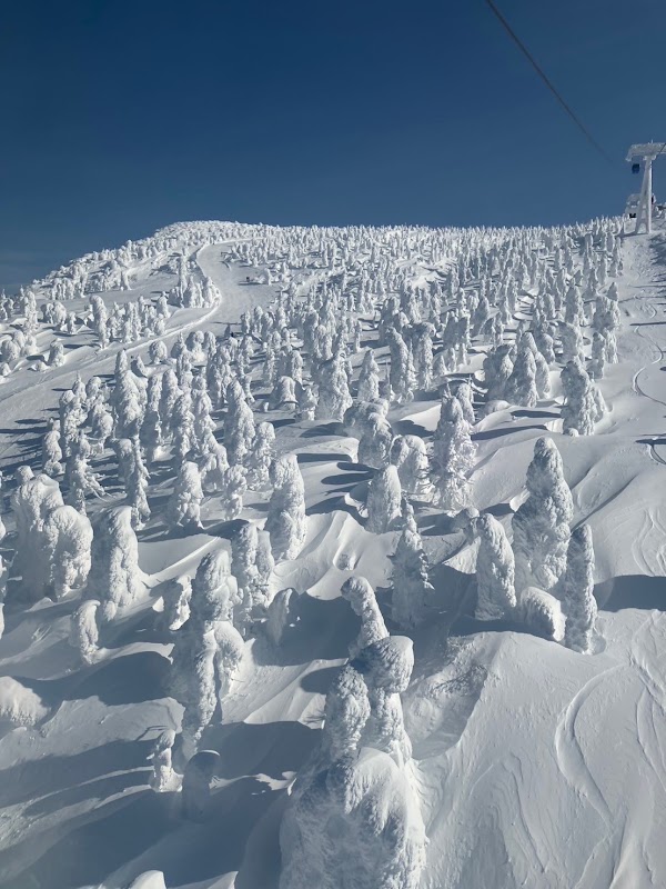 Zao Onsen Ski Resort 5