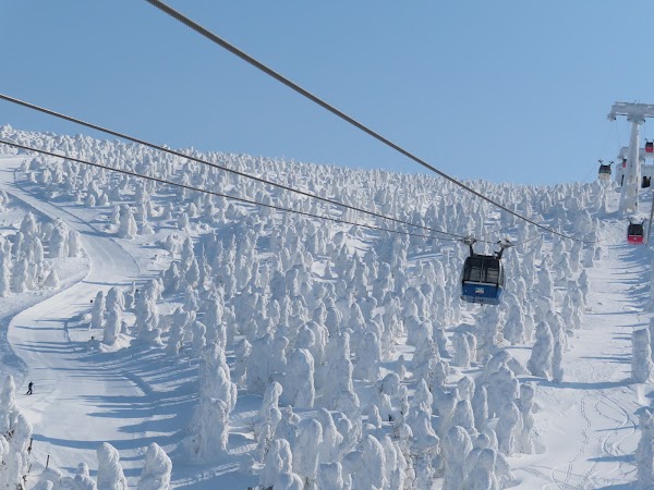 Zao Onsen Ski Resort 3