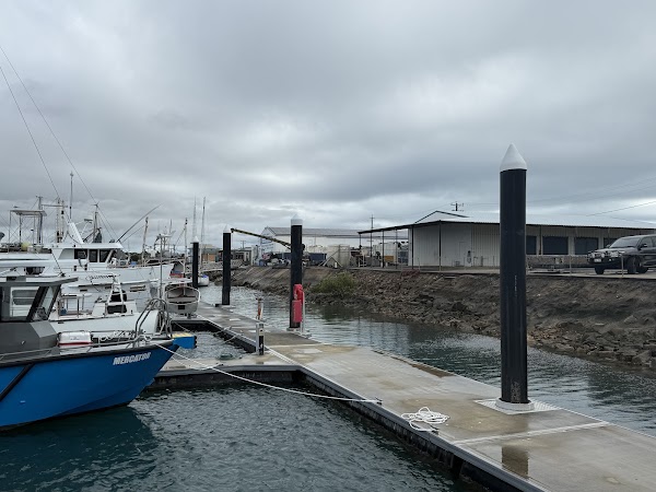 Bowen Marina 4