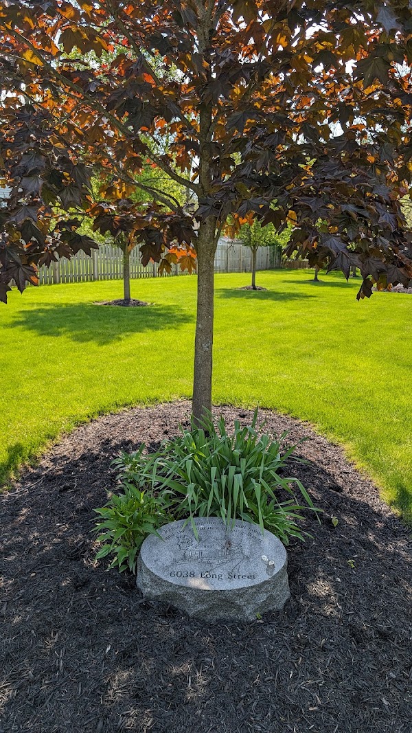 Memorial - Continental Flight 3407 3