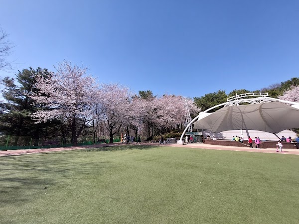 Sujin Park