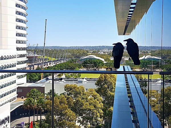 Sydney Olympic Park 5