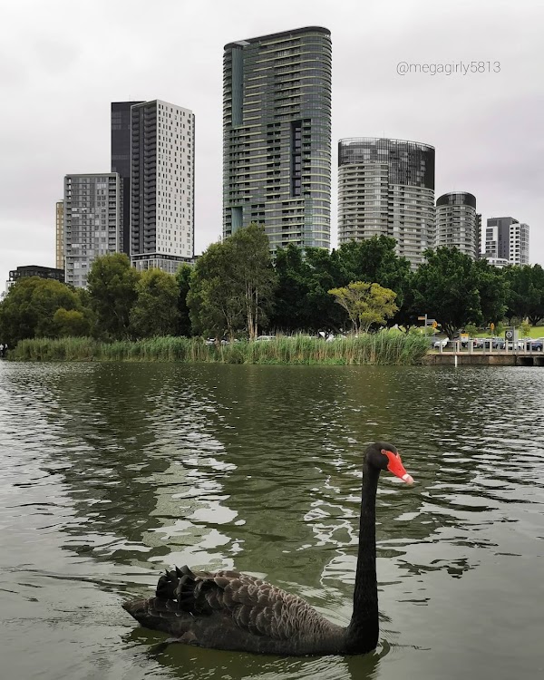 Sydney Olympic Park 3