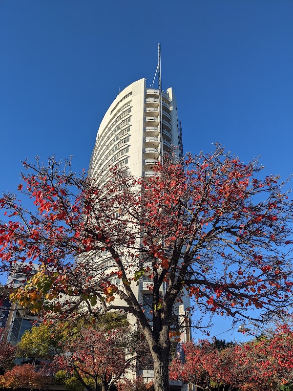 Sydney Olympic Park 2