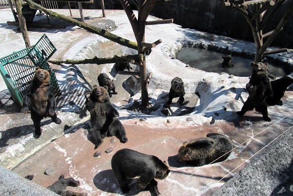 Noboribetsu Bear Park