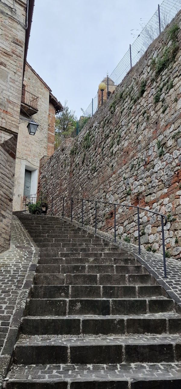 Le Marche  33