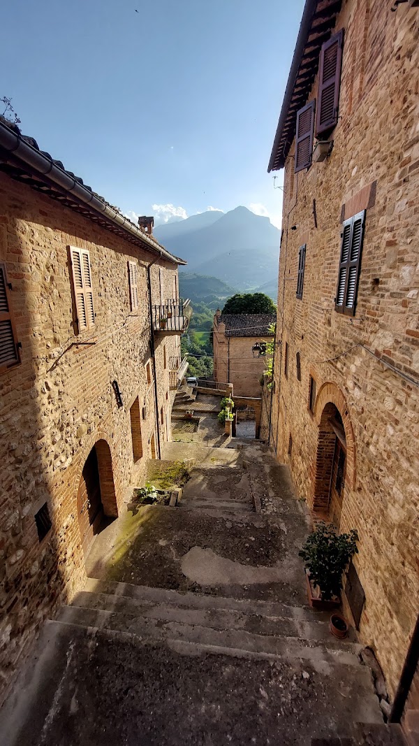Montefortino 4