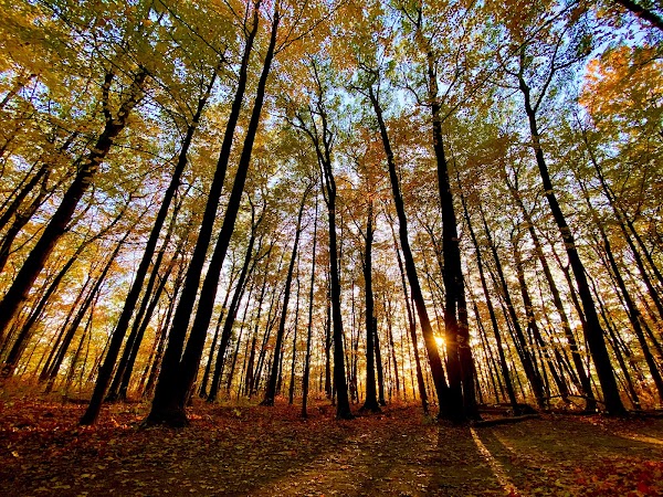 Rouge National Urban Park 4