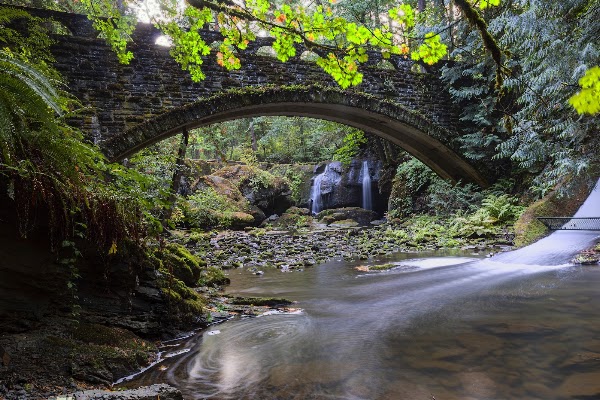 Whatcom Falls Park 5