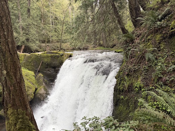Whatcom Falls Park 4