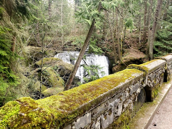 Whatcom Falls Park 3