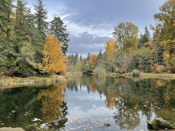 Whatcom Falls Park 2