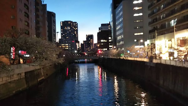 JAPAN 82
