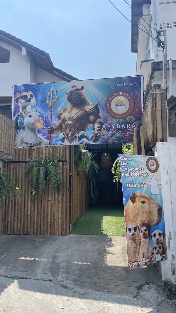 Capybara Coffee Pattaya 1