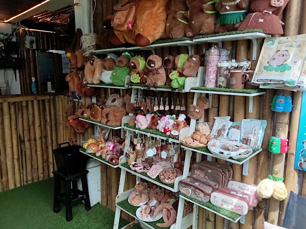 Capybara Coffee Pattaya 2