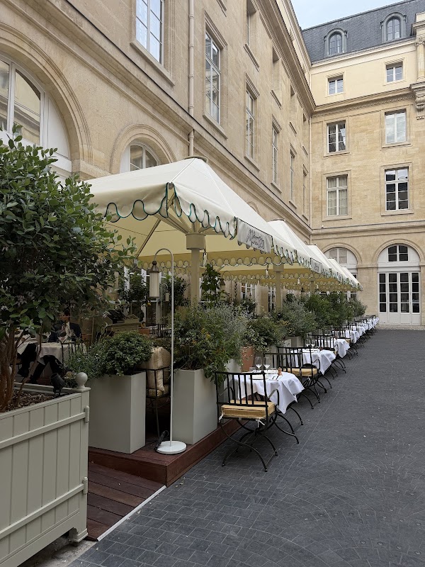 Mimosa – Riviera Cuisine 3