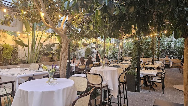 Back yard 51 tlv