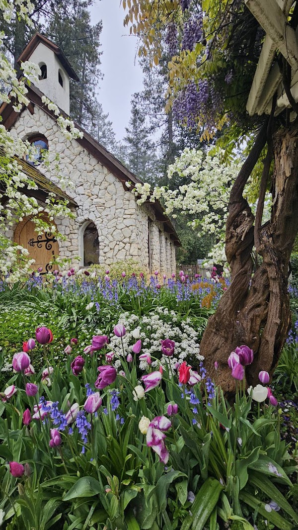 Northern California Cherry Blossom Festival