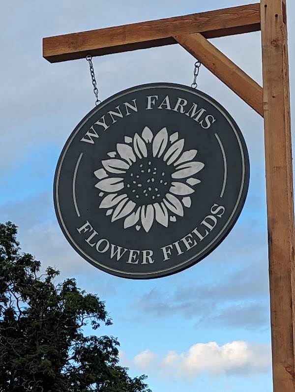 Wynn Farms (Flowers and Sunflowers) 5