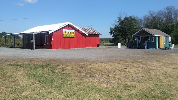 Wynn Farms (Flowers and Sunflowers) 3