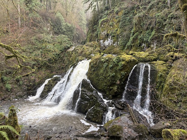 Little Mashel Falls Trailhead 1
