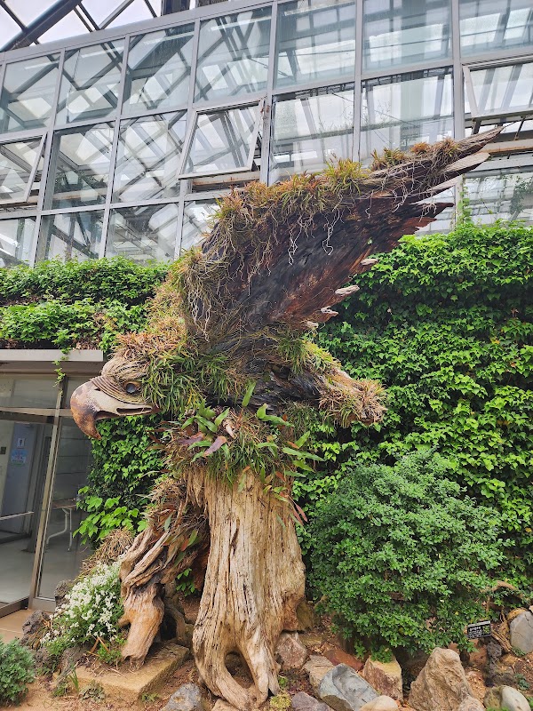 "Our flower" Hwaseong Botanical Garden 2