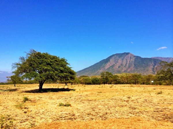 Baluran National Park 5